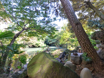 割烹旅館　新花の茶家 写真