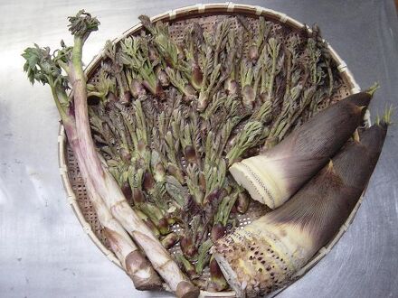 湖里　清流荘 写真