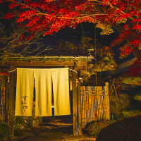 奥たまかわ温泉 すわや 写真