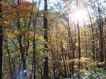 ペンション　パル 写真