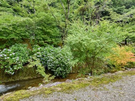 料理旅館いずみ荘 写真