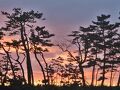 間人温泉郷 うまし宿 とト屋 写真