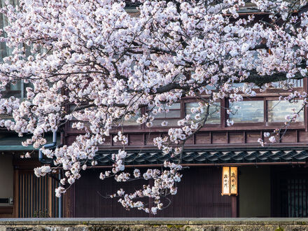 浅の川 写真