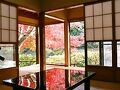 錦江閣 写真