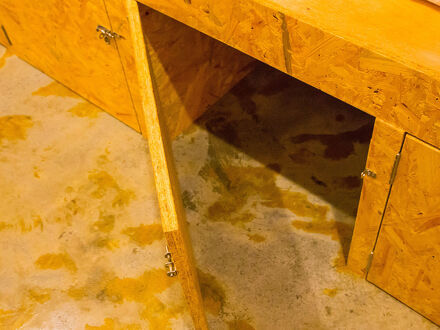 SEAWALL HOSTEL 写真