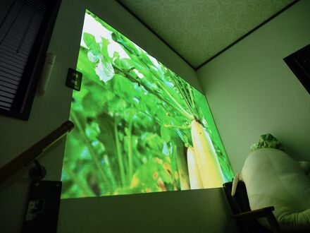 一棟貸し平戸 俺んち 写真