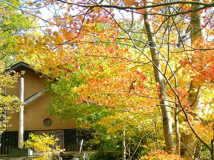 温川山荘 写真