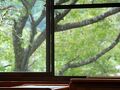 田の原温泉　旅館　湯之迫 写真