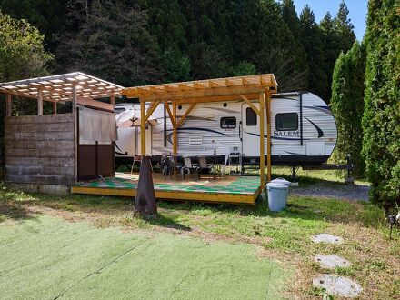 Cottage Harvest tree 写真