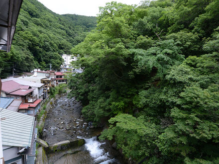 下部温泉 元湯 甲陽館の宿泊予約なら フォートラベル の格安料金比較 下部温泉