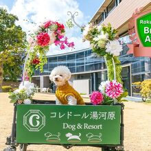 写真：楽天トラベル