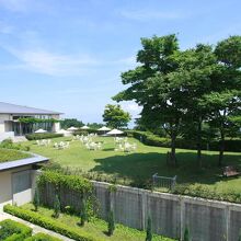 写真：楽天トラベル