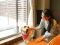 HOTEL星取テラスせきがね 写真
