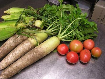 ペンション 木もれ陽の家 ゆきだるま 写真