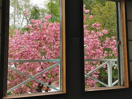 温泉ペンション 花さき山 写真