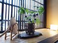 東本願寺　門前　京のお宿　華な乃 写真