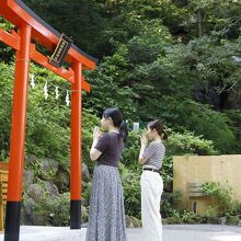 写真：楽天トラベル