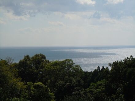 民宿　樹の実　＜屋久島＞ 写真