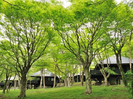 芦ノ湖キャンプ村 写真