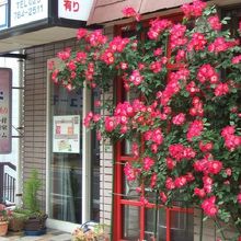 写真：楽天トラベル