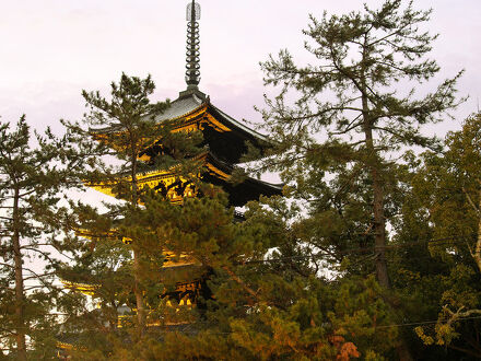 大仏館 写真