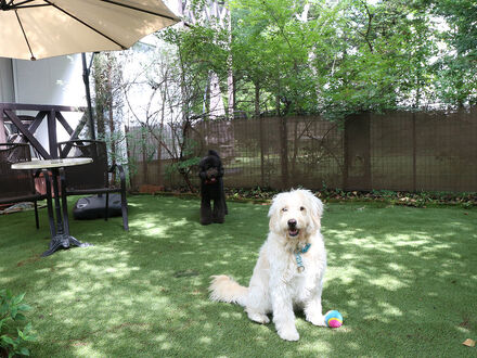 リフレッシュエッセンシャルリゾート in 軽井沢 写真