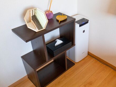 パンテオン 写真