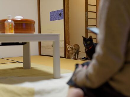 温泉民宿 海風荘 写真