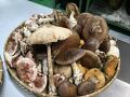 南信州小渋温泉　赤石荘 写真