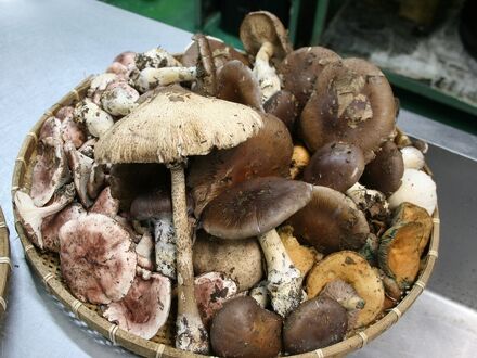 南信州小渋温泉　赤石荘 写真