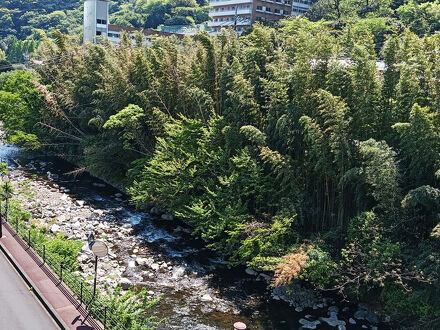 湯河原温泉ホテル四季彩 写真