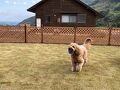 舞鶴ふるるファーム 写真