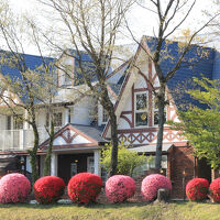 本格西洋料理宿　アンジェリカ 写真