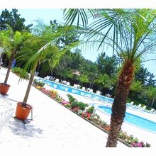 写真：楽天トラベル