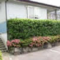 貸別荘クオーレ 写真