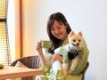 愛犬 お宿 写真