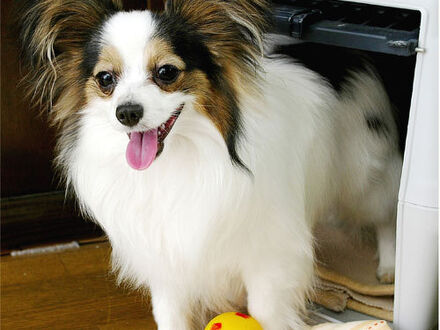 草津温泉 湯の宿 音雅 写真