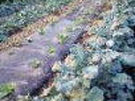 御宿　野沢屋 写真