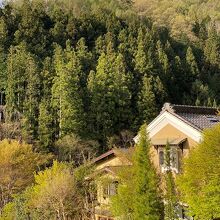 写真：楽天トラベル