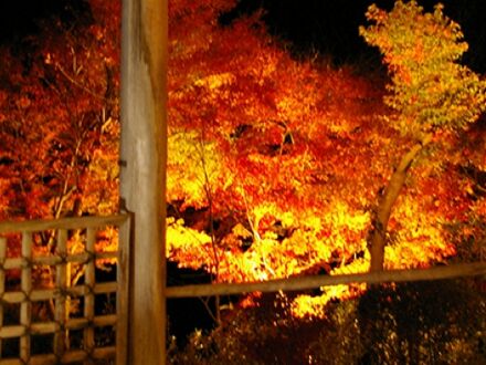 沢渡温泉　宮田屋旅館 写真