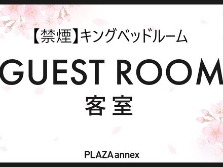 PLAZA annex 写真