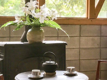 とようけのもり 写真