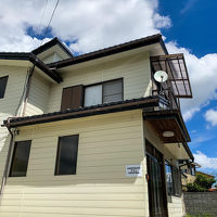 SAMURISE だるま 写真