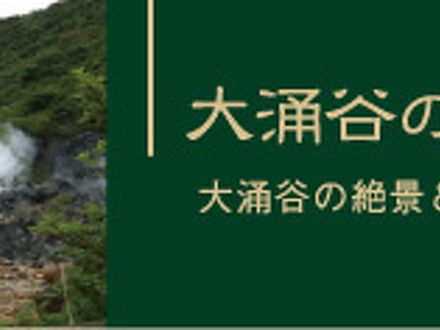 温泉民宿　みたけ 写真