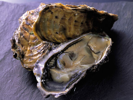 くつろぎの宿　福若 写真