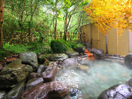 森の湯 山静館 写真