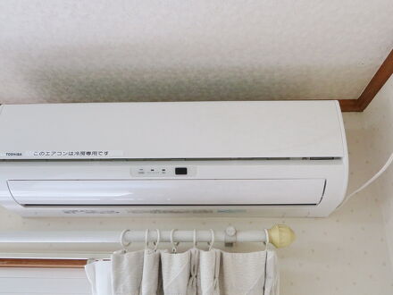 北軽井沢　ブルーベリー　ＹＧＨ 写真