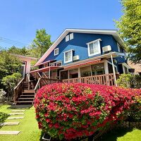 ドッグ イン ペンション バーニーズ 写真