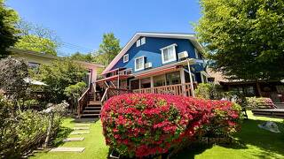 ドッグ イン ペンション バーニーズ