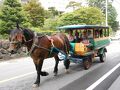 塩原温泉　丸屋旅館＜栃木県＞ 写真